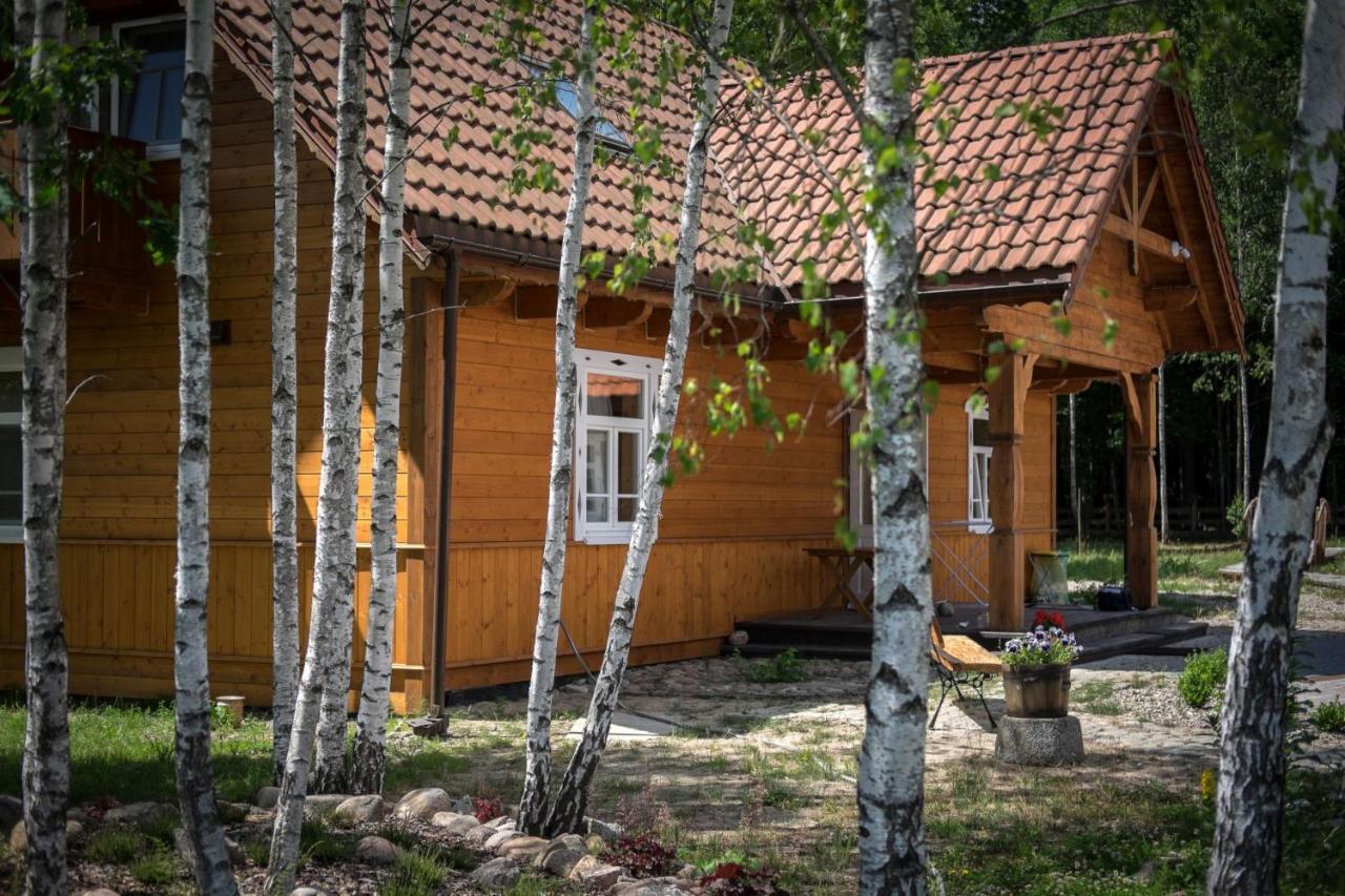 Białowieża Miodowa Kolonia Bed & Breakfast エクステリア 写真