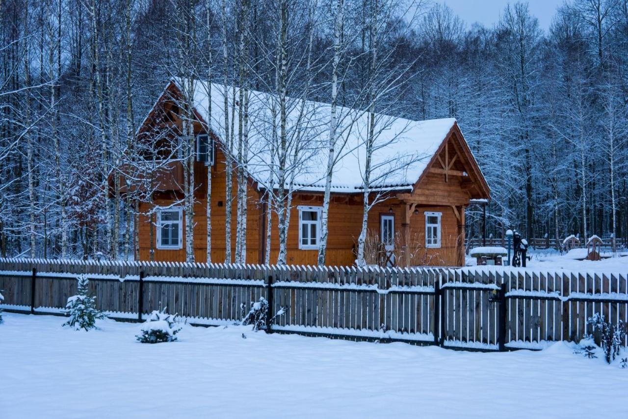 Białowieża Miodowa Kolonia Bed & Breakfast エクステリア 写真